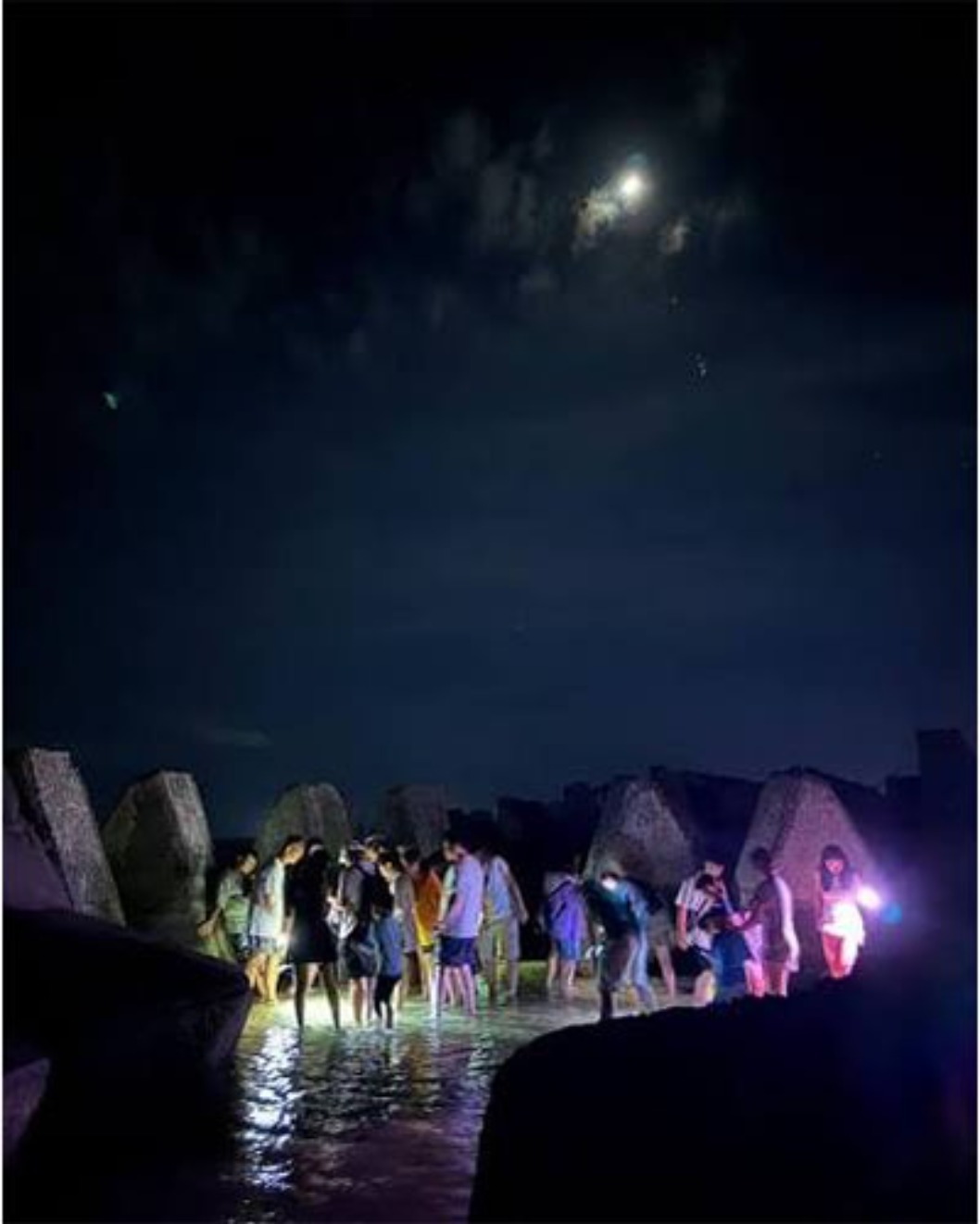 小琉球夜遊海岸生態