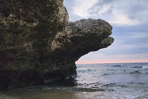 海龜石 - 私房秘境