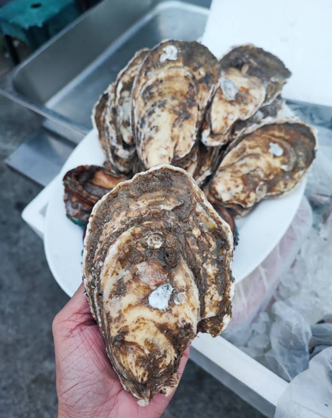 金獅子烤雞翅